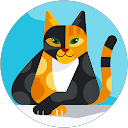 Anonimo profile picture